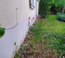 Soubassement