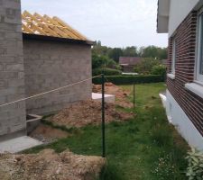 Implantation