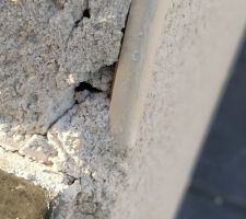 Epaufrure près de la baie vitrée.