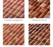 Choix des tuiles panaché foncé