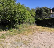 Entr&eacute;e du terrain, sans nettoyage, l'arri&egrave;re est compl&egrave;tement en friche.