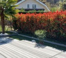 Terrasse amovible au dessus de la piscine