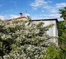 Vue sur la cabane de jardin des voisins...