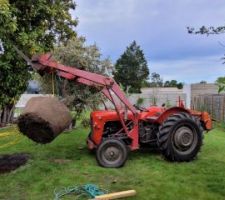 Pour nos 10 ans notre Olivier Toscane trouvé en super promo sur le bassin. Merci au tracteur ;)