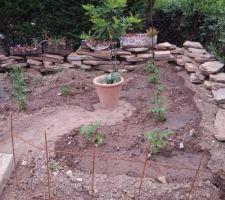 Des tomates dans un champ de mines - 08/06/21