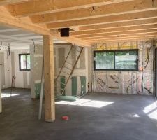 Le salon et la cuisine au fond