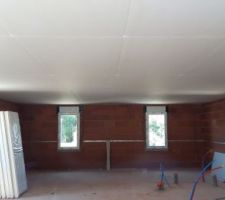 Pose du plafond