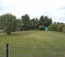 Ce terrain situé a épargnes 17120 est a vendre 750 m2 pour 39000 euros frais d'agence inclus a agence de cozes la haie existait au mis de mai , plantée en limite de terrain elle a été descendue en qq jours de travail par de élageurs à la demain du vendeur du terrain