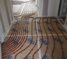 Serpentins en place (entrée)