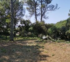 La préparation du terrain continue