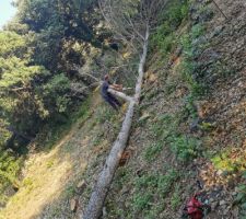 La préparation du terrain continue