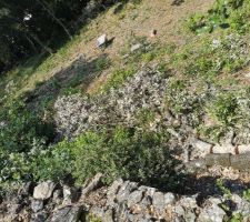 La préparation du terrain continue