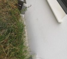 2 verrues à gauche et à droite de la fenêtre en bas.