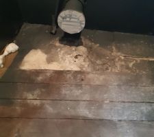 Sol a moitié en plancher irrégulier et à moitié en sorte de béton fissuré et affaissé. Poser le parquet direct dessus ? La notice dit qu'il faut maximum 3mm de creux/bosse sur 3m de distance, on en est très très loin ! Donc on colmate à la mousse expansive et au mastic, primaire d'accrochage et on est parti pour un ragréage !