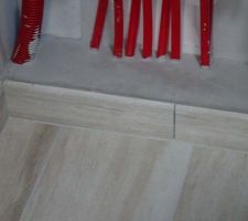 Réserve 6 : Joints de plinthe du cellier et des WC, à effectuer