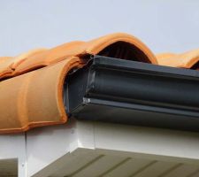 Réserve 5 : Angle de la gouttière, à l?angle gauche de la façade arrière, abîmé