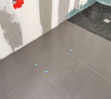 Réserve 23 : Rayures de 3 carreaux de sol de la salle de bain, à traiter