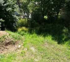Jardin à débroussailler!