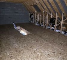 Plancher OSB 18 mm des futurs combles
