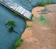 Dégâts après orage