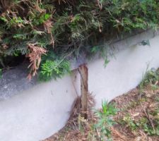 Barre de fer soutenant mur