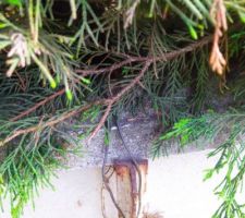Barre de fer soutenant mur