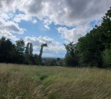 Vue du milieu du terrain vers l'ouest. 92 m de distance entre le haut et le bas. jolie vue en contrebas qu'il faudra degager en eliminant les deux arbres rachitiques sur la gauche.
