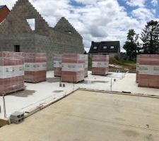 La dalle est sèche, l'élévation des murs va commencer