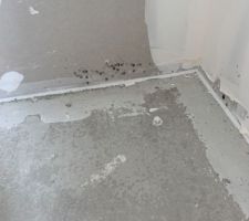 Moisissures dans une chambre