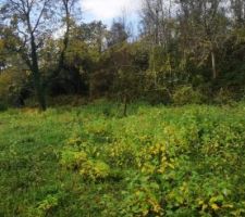 Terrain lors de l'achat