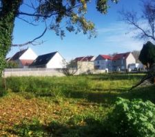 Voici le terrain lors de notre acquisition