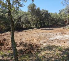 Plateformes prêtes pour creuser les semelles :)