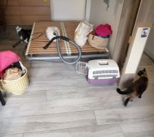 Travaux sur la dépendance