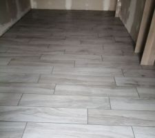 Travaux sur la dépendance