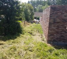 Débroussaillage avec le voisin et surtout le Soleil!!