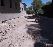 Noue paysagère - 19/07/21