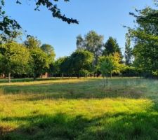 Notre terrain vue de l'entr&eacute;e