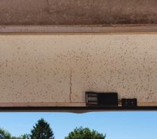 A&iuml;e !!! Un coffre de volet roulant a &eacute;t&eacute; cass&eacute; pendant la livraison de la charpente !!!...