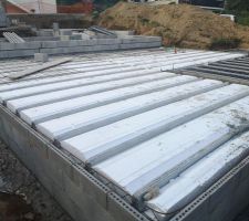 Dalle Piece de vie et Terrasse au fond à droite