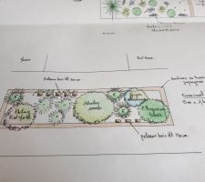 Plan du jardin fourni par le pépiniériste, brise-vue côté pool house