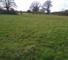 Au passage, petite photo du terrain vu de la route