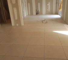 Carrelage RDC 60x60 PRISSMACER WONDER BASE