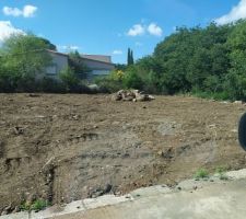 Terrain avant construction