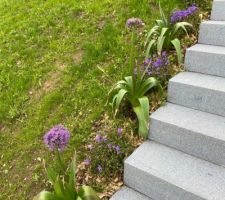 L'Escalier paysagé se transforme tel qu'on l'avait rêvé...