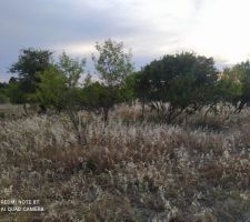 Terrain brut &agrave; l'achat