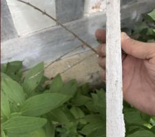 Plaque plâtre?