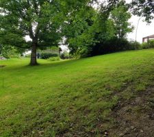 Vue depuis le bas du terrain...en pente ! la maison sera en haut, bien sur.