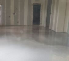 Chape liquide faite ici la pièce de vie
plus qu a la testé en septembre