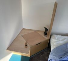 Aménagement de la salle de jeux / chambre d'amis en cours
