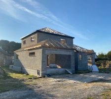 Pose charpente et caches moineaux